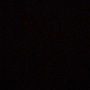 Meet your Posher, Lee